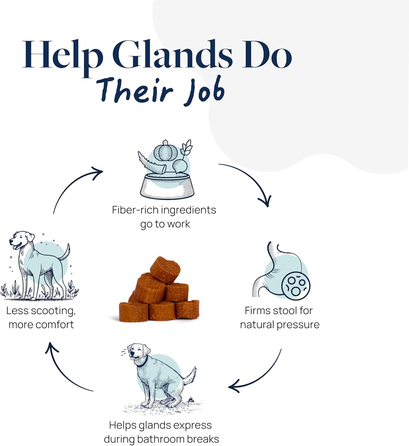 Veterinary Formula Anal Gland Support for Dogs – Vet-Formulated No Scoot Chews with Pumpkin, Ginger, Agave Inulin & Probiotics – Supports Scooting, Stool Quality & Digestive Health, 60 Soft Chews