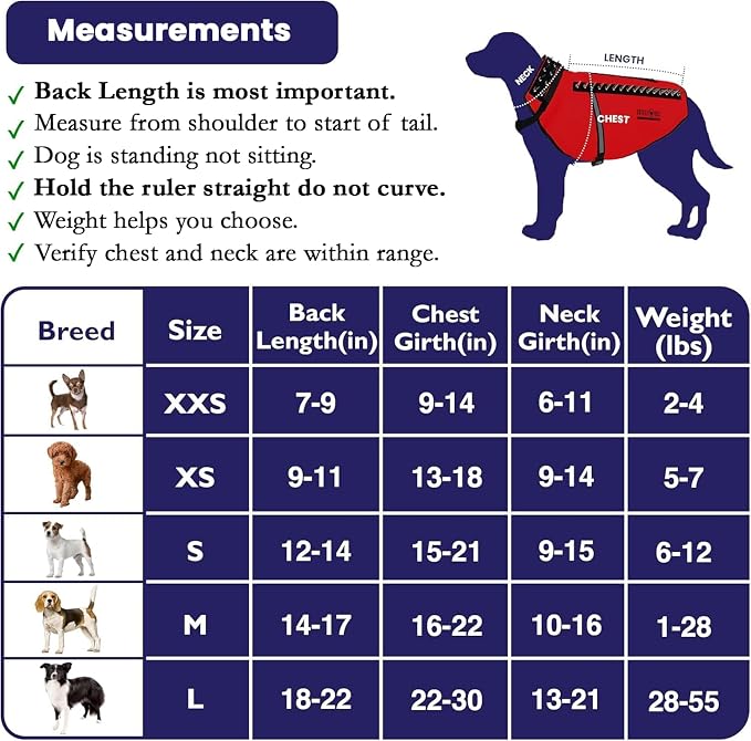 CoyoteVest SpikeVest Dog Harness, Made in the USA, L-Turquoise | Stab-Resistant Protective Vest | Coyote Vest for Dogs | Defends Against Coyotes, Dogs, Birds of Prey | Reflective Safety