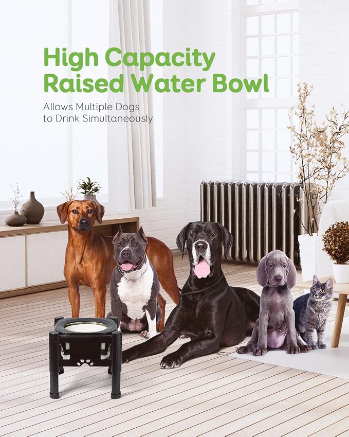 Elevated Dog Bowls, 80Oz Stainless Steel Water Feeder | 3 Adjustable Heights (6.1", 7.7", 9.3"), Anti-Spill Design for Small to Medium Sized Dogs