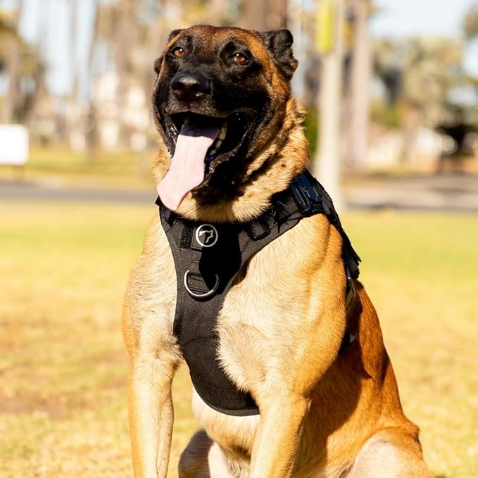 WOLFpak Tactical Dog Vest Harness No Pull Breathable (Alpha Black, Medium) | Dual Grab Handles, 1000D Nylon, Four-Point Adjustment, MOLLE Attachment Panels, Three Storage Pockets, Metal Alloy Buckles