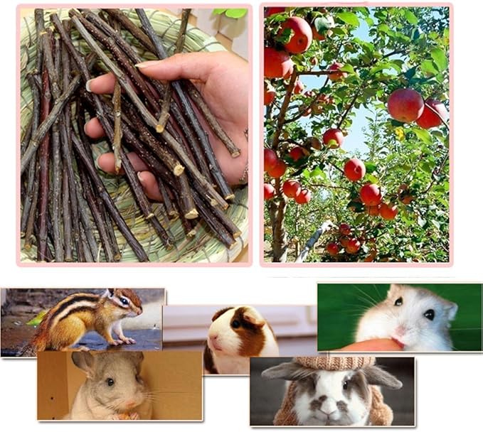 sharllen 200g (7.05oz) Natural Apple Sticks Wood Tree Branches Pet Snacks Chew Toys for Rabbit Hamsters Guinea Pig Chinchillas Squirrel and Other Small Animals