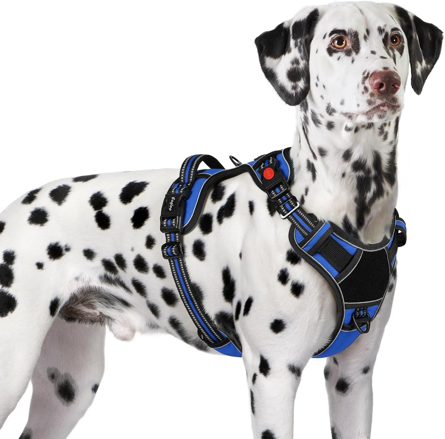 Eagloo Dog Harness for Large Dogs, Easy Wearing with 3 Buckles, Adjustable No Pull Pet Harness with 2 Rings for Walking, No Chock Reflective Soft Padded Vest with Control Handle, Blue & Black, XL