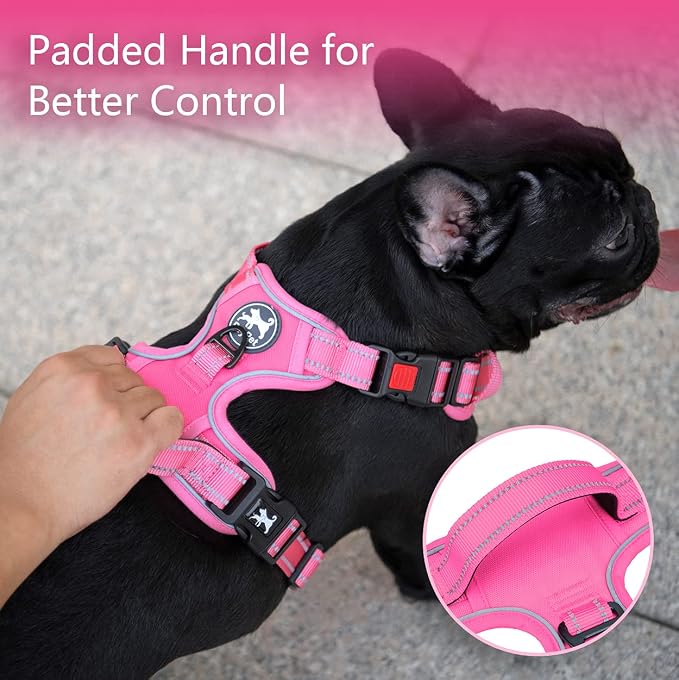 PoyPet No Pull Dog Harness, Reflective Vest with 2 Leash Clips & Handle | Lockable Neck Release Buckle, No Choke, Adjustable, Soft Padded, for Walking Training, Pink Matching Trim, Small