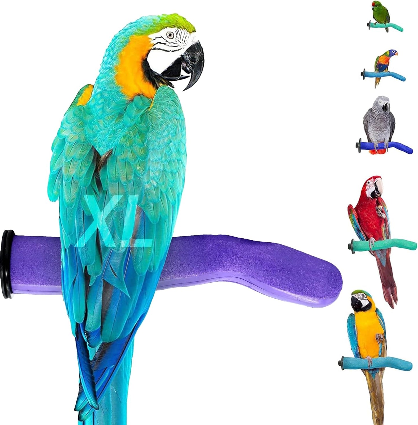 Safety Pumice Perch - Trims Nails and Beak - Promotes Healthy Feet - Safe Non-Toxic Bird Supplies for Bird Cages - X-Large 14"