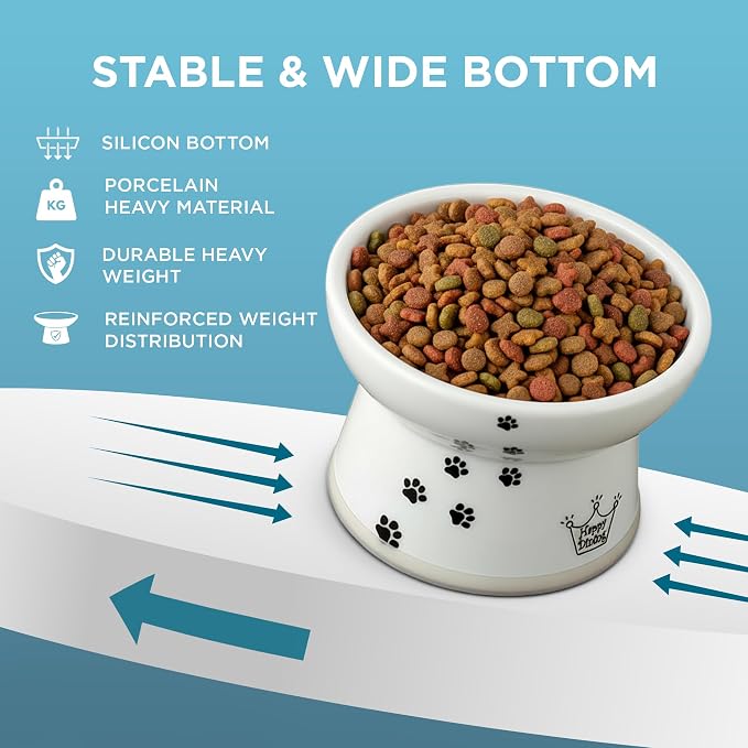 Necoichi Raised Cat Food Bowl – Ceramic Elevated Cat Bowl for Whisker & Neck Fatigue, Dishwasher Microwave Safe – Non-Slip & Anti Vomiting Ergonomic Design (Cats, Large Flat)