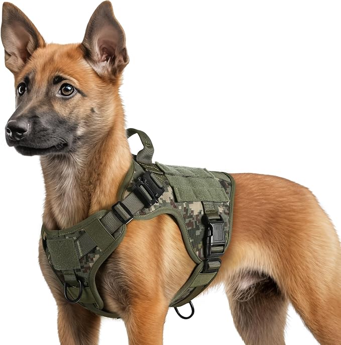 rabbitgoo Tactical Dog Harness for Small, Heavy Duty Military No Pull Vest | Sturdy Metal Buckles, 5 Adjustments, Molle System, Powerful Pullers for Training, Hunting, Outdoor, Green Camo, Small