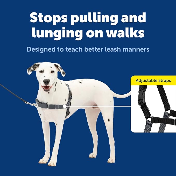 PetSafe Easy Walk Harness, No Pull Dog Harness, Charcoal Gray, Medium/Large | Patented Martingale Loop Gives Gradual Shoulder Pressure to Stop Pulling, Front-Chest Leash Clip Prevents Gagging