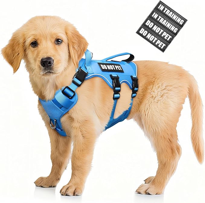 Escape Proof Dog Harness with Double Handle+4 Removable Patches | Service Working Molle Harness with Double Handle for Small Dogs, Tactical Pet Reflective Vest for Walking Hiking Hunting