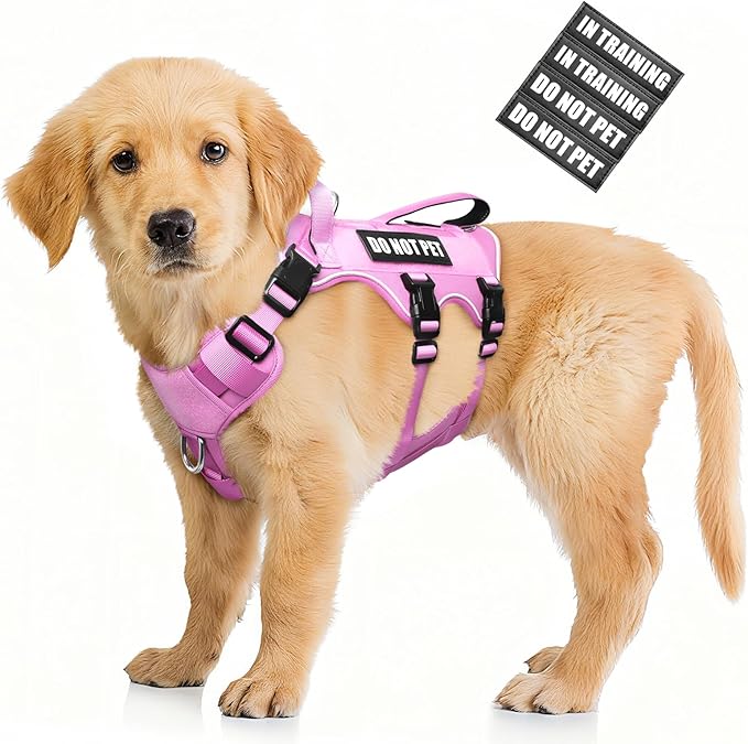 Escape Proof Dog Harness with Double Handle+4 Removable Patches | Service Working Molle Harness with Double Handle for Small Dogs, Tactical Pet Reflective Vest for Walking Hiking Hunting