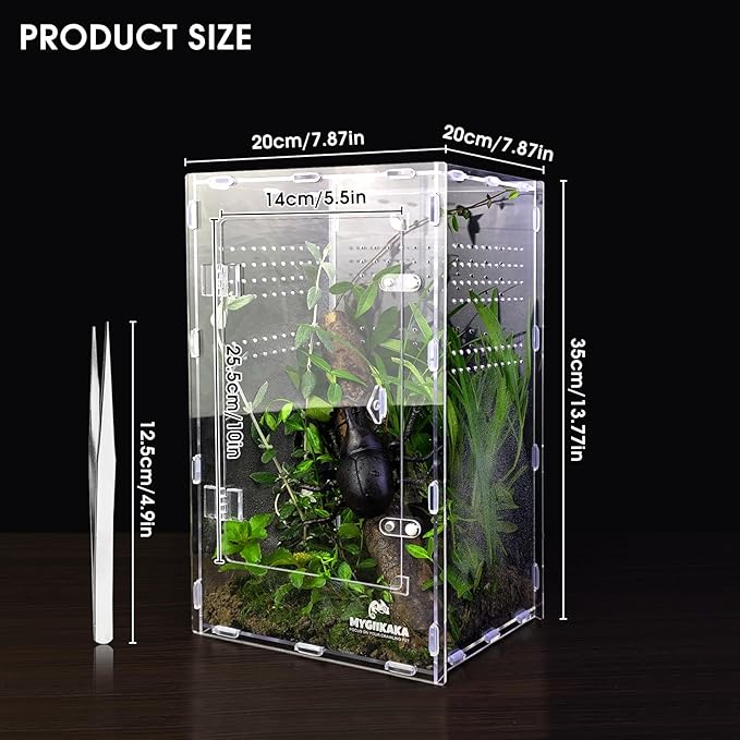 Acrylic Jumping Spider Enclosure - Insect Terrarium for Spiders, Mantises, Tarantulas & Frogs