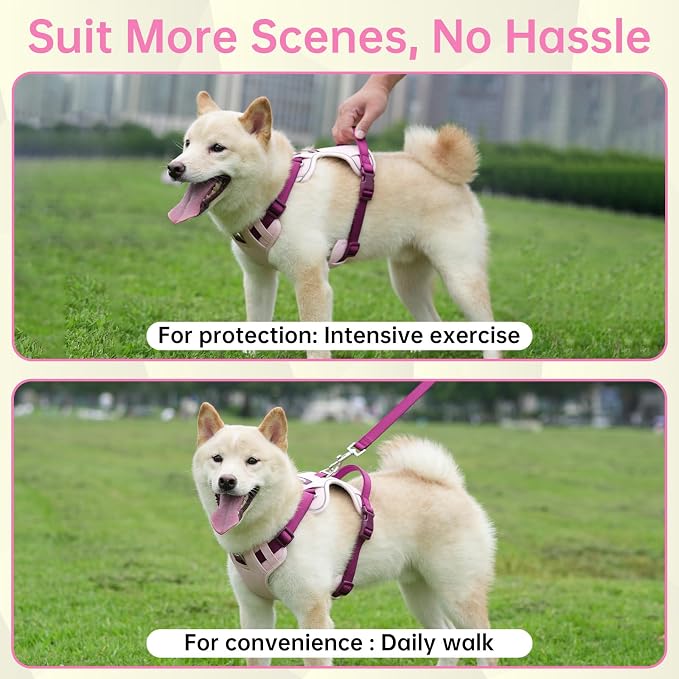 Dog Harness and Leash Set with Collar, No Pull Reflective Pet Vest Harness with Control Handle for Medium Large Dogs Walking and Training