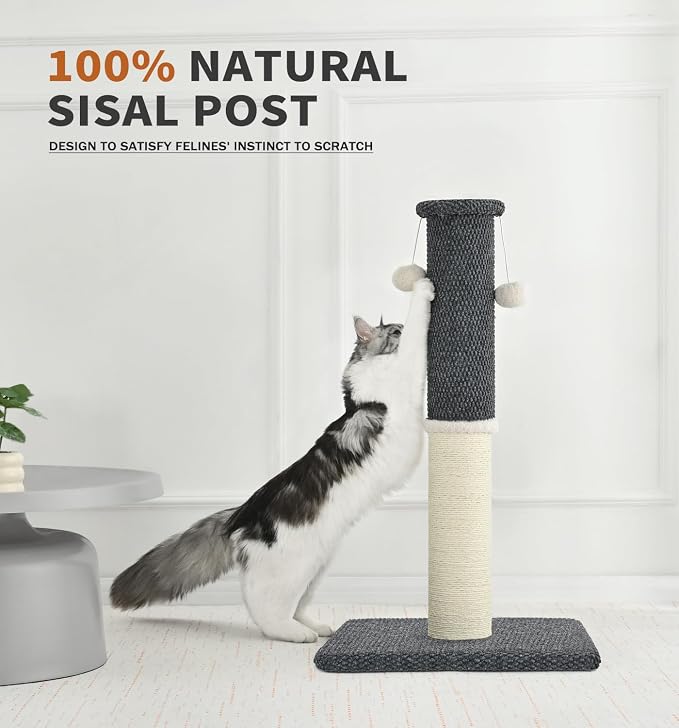 Made4Pets Cat Scratching Post with Sisal & Carpet for Indoor Cats, 23.6" | Cat Scratcher with Wide Stable Base, Interactive Hanging Toys, Ideal for Kittens, Small Cats and Everyday Indoor Play