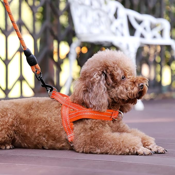 Plutus Pet No Pull Dog Harness for Small Dogs, Breathable Mesh Padded | Adjustable Reflective with Handle, Escape Proof, Quick Fit Pet Vest, Front Clip, for Training and Walking, Orange, S