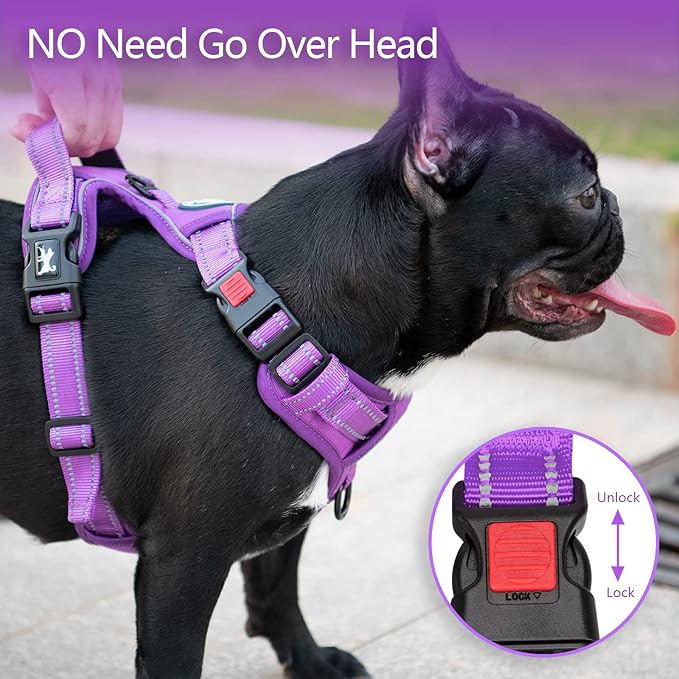 PoyPet No Pull Dog Harness, Reflective Vest with 2 Leash Clips & Handle | Lockable Neck Release Buckle, No Choke, Adjustable, Soft Padded, for Walking Training, Purple Matching Trim, Small