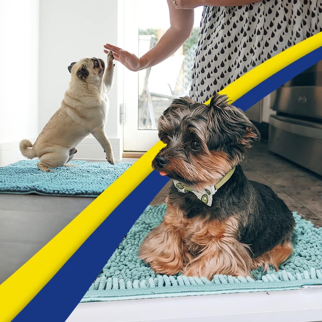 Muddy Mat® Original Dog Door Mat for Muddy Paws, Super Absorbent Microfiber, Non-Slip Washable Pet Rug, Quick Dry Chenille Entryway Carpet, Machine Washable Indoor Outdoor mat, Seafoam Green 48"x60"