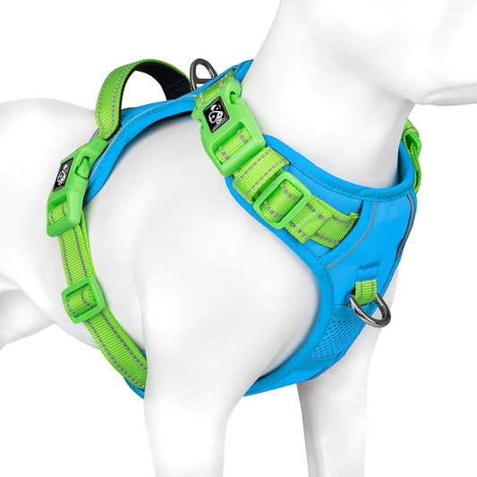 PHOEPET No Pull Dog Harness, Unique Colors Reflective Adjustable Dog Vest, with Soft Training Handle Metal Clips for Small Medium Large Dogs (Blue Base & Green Straps,L)