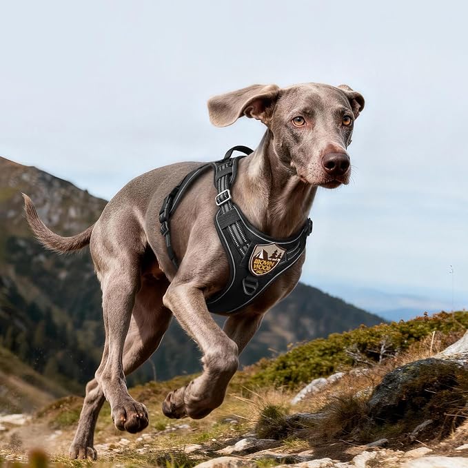 rabbitgoo Tactical Dog Harness for Large Dogs, No Pull Service Pet Vest | Military Molle System & Easy Control Handle, Adjustable and Reflective for Walking and Training, Black, Large