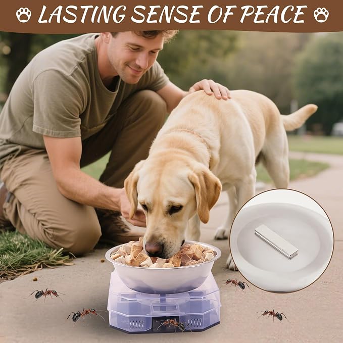 Wellness Pet Food Tray for Ant, Cat Food Bowls Tray Dog Feeding Station Outdoor Feeder Plastic Shelf with Lip for Small Dogs Feral Cats