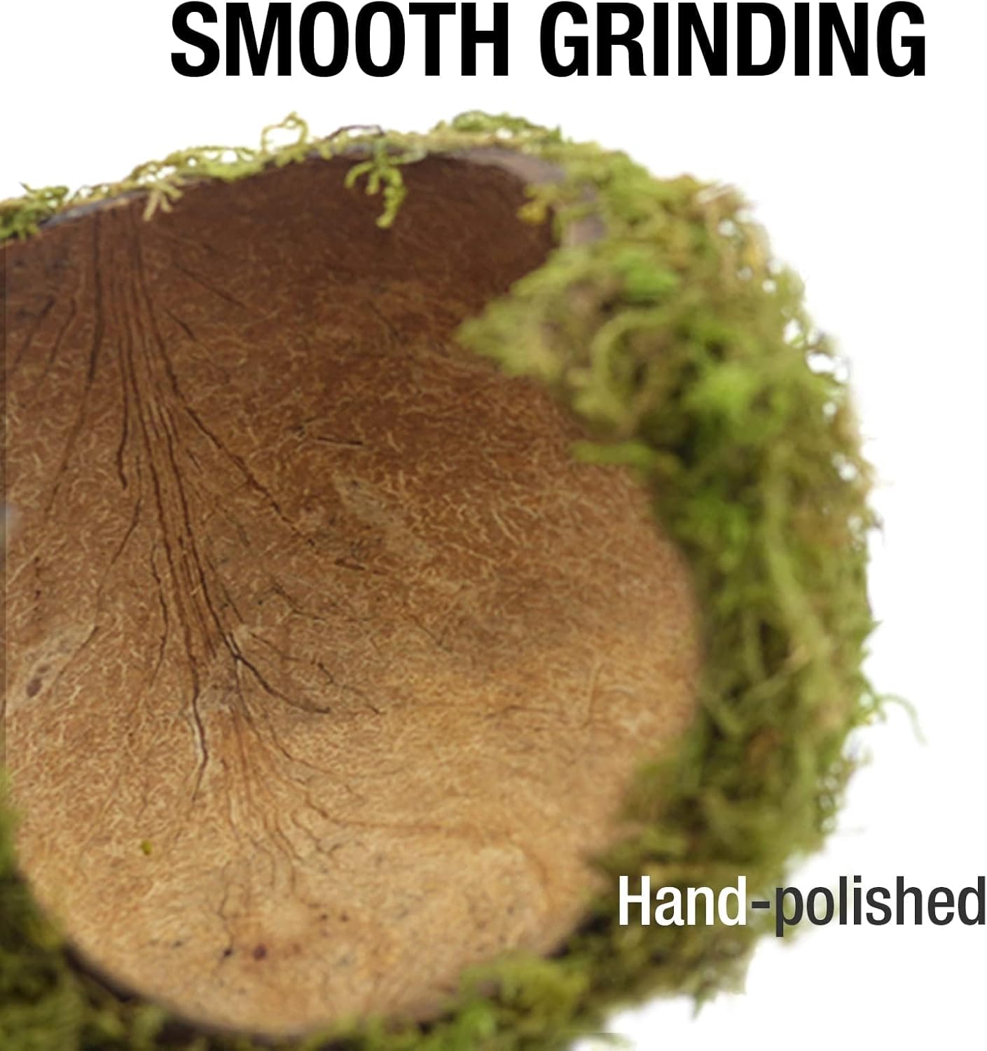 Coconut Hamster Hideout Hamster House Gerbil Cage for Small Animals with a Bundle of Apple Sticks a Carrot (Green)