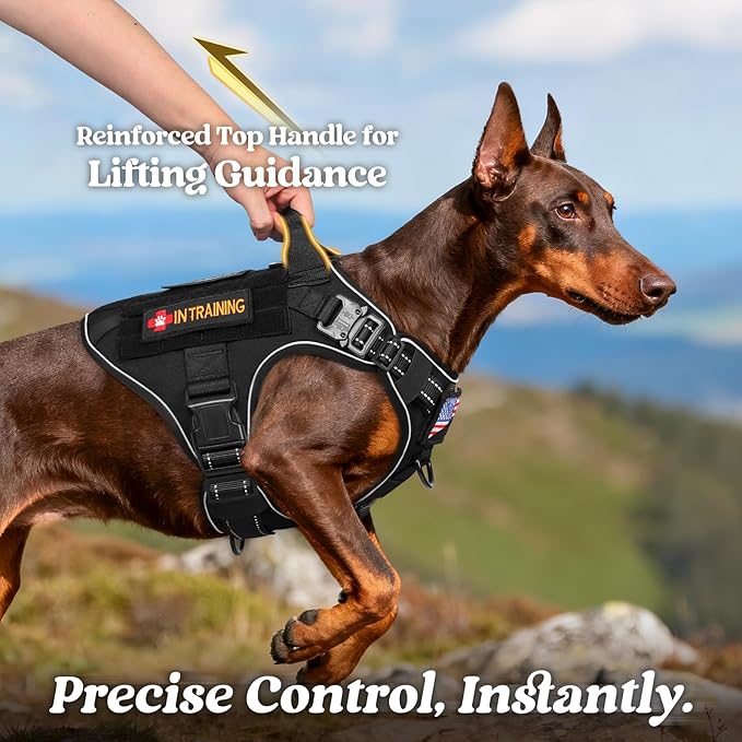 rabbitgoo Tactical Dog Harness X-Large, Heavy Duty Military No Pull Vest | Sturdy Metal Buckles, 5 Adjustments, Molle System, Powerful Pullers for Training, Hunting, Outdoor, Black Reflex, X-Large