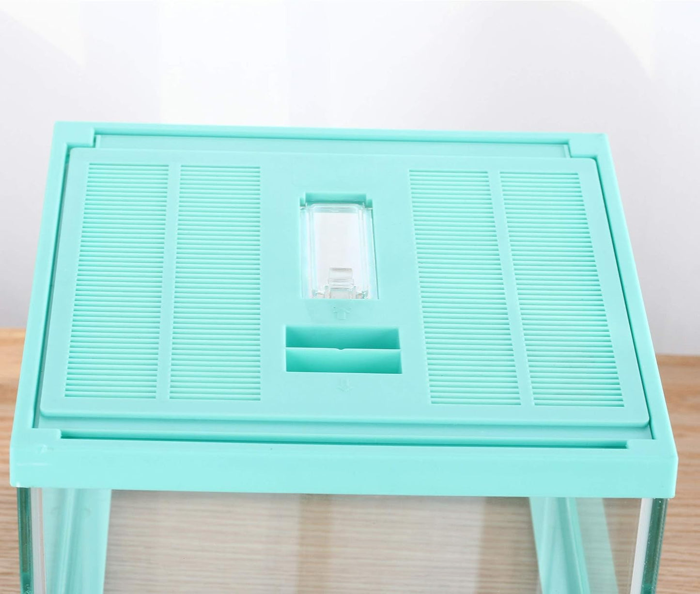 crapelles Reptile Terrarium Tank, Snail Jumping Spider Enclosure, Tarantula Insect Pet Box, Vivarium Tank for Hermit Crab Cricket Gecko Frog, Small Tortoise Habitat Cage (7.8x7.8x5.9 Inches) Green