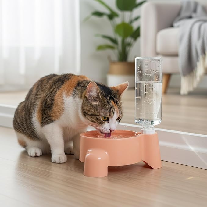 Dog Feeding Station Leak Water Fountains Detachable Bottle Anti Slip Base Design Stainless Steel Bowl with Water and Food