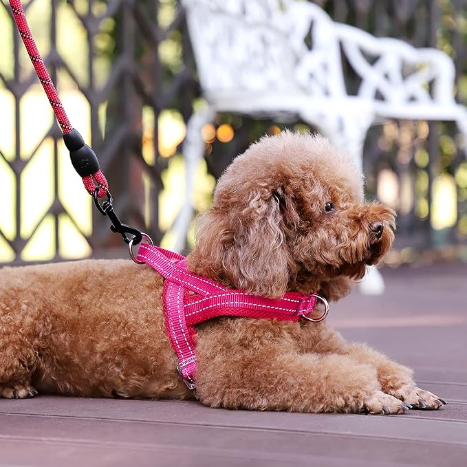 Plutus Pet No Pull Dog Harness for Puppy Small Dogs, Breathable Mesh Padded | Adjustable Reflective with Handle, Escape Proof, Quick Fit Pet Vest, Front Clip, for Training and Walking, Pink, XXS