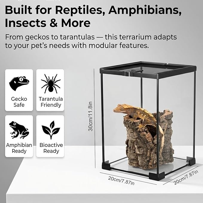 8x8x12 Terrarium Glass Tarantula Enclosure: Full View Stackable Tank | Jumping Spider Enclosure with Lockable Sliding Screen Top for Crested Gecko Hermit Crab - Vertical Habitat for Arboreal Frog