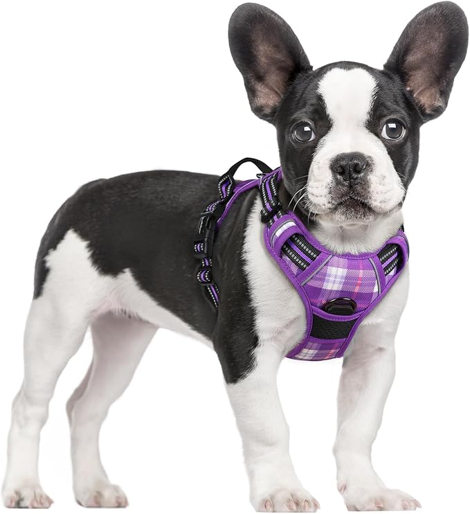 rabbitgoo Dog Harness, No Pull for Small Dogs with 2 Leash Clips, Pet Vest | No Choke with Handle, Adjustable Soft Padded, Reflective, Easy Control for Walking, Purple Plaid, Small