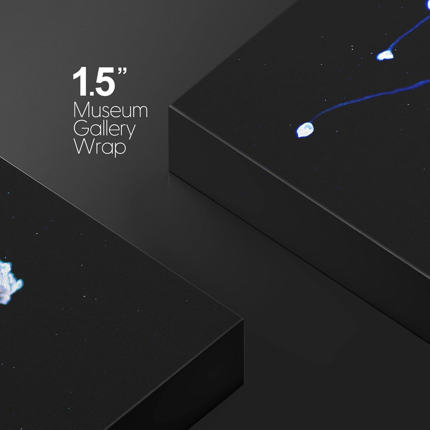 wall26 Canvas Print Wall Art Mystic Fantasy Tropical Blue X-Ray Jellyfish Nature Animals Photography Realism Rustic Scenic Landscape Wilderness Colorful for Living Room, Bedroom, Office - 32"x48"