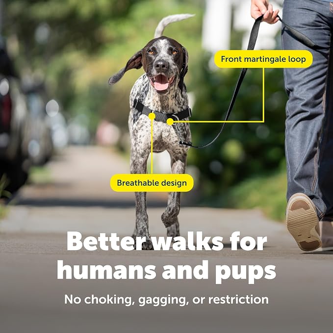 PetSafe Easy Walk Harness, No Pull Dog Harness, Charcoal Gray, Medium/Large | Patented Martingale Loop Gives Gradual Shoulder Pressure to Stop Pulling, Front-Chest Leash Clip Prevents Gagging