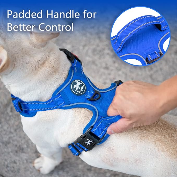 PoyPet No Pull Dog Harness, Reflective Vest with 2 Leash Clips & Handle | Lockable Neck Release Buckle, No Choke, Adjustable, Soft Padded, for Walking Training, Royal Blue, Large