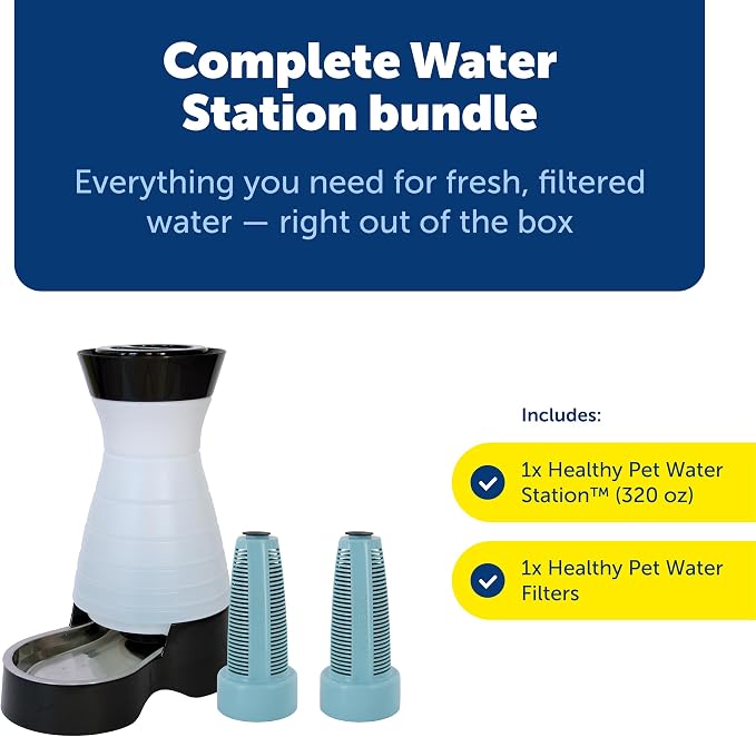 PetSafe Healthy Pet Food & Water Stations - Cat & Dog Food Storage Container - Filter Included with Waterer - Keeps Food & Water Fresh - Suitable for Small, Medium, & Large Dogs - Stainless Steel Bowl