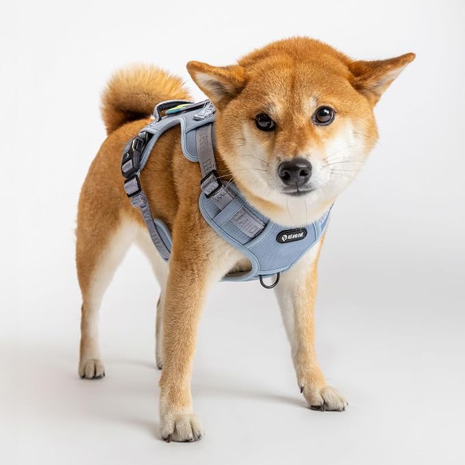 Fei & Eve Classic Dog Harness, MagEase Magnetic Buckle | 3-Point No-Pull Control, Dual Handle Support, 900D Nylon, Tactical Patch Panel, Heavy Duty, Medium, Blue