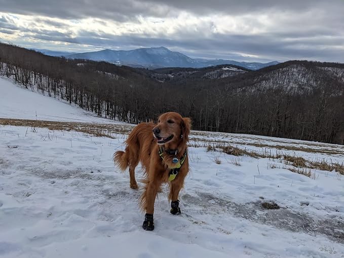 Expawlorer Anti-Slip Shoes for Large Dogs, Booties With Rugged Sole and Reflective Strap, Waterproof Rain Boots, Paw Protectors for Cold/Hot Pavement, Snow Shoes for Outdoor