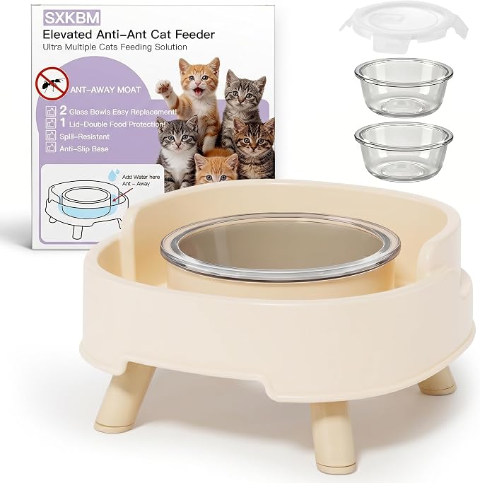 Ant Not Cross Elevated Cat Bowls Mess Proof-2 Food Grade Glass Bowls & 1 Lids- No Spill Cat Food and Water Feeding Station for Cats&Puppy Indoor & Outdoor,No Whisker Fatigue Dish,Beige
