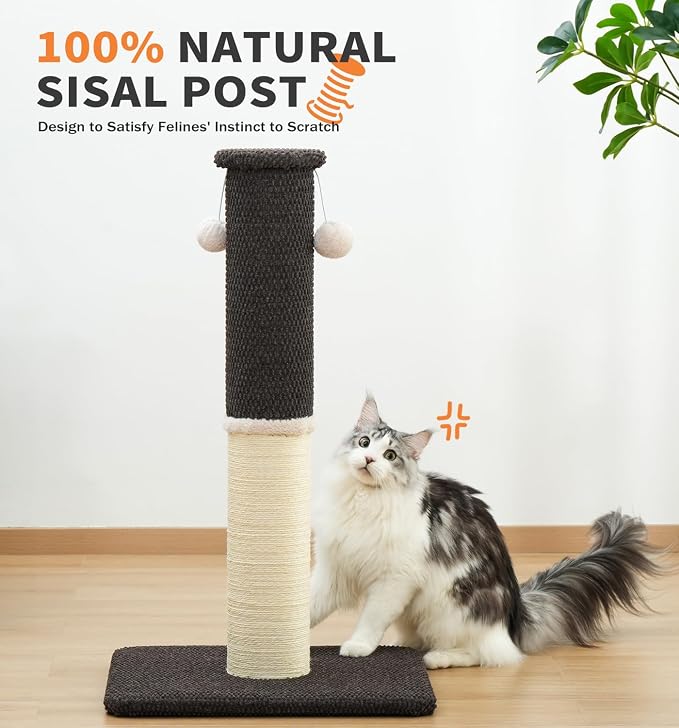 Made4Pets Cat Scratching Post with Sisal & Carpet for Indoor Cats, 23.6" | Cat Scratcher with Wide Stable Base, Interactive Hanging Toys, Ideal for Kittens, Small Cats and Everyday Indoor Play