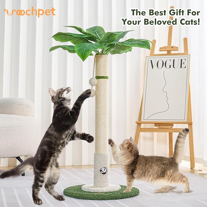 Woochpet Cat Scratching Post for Indoor Cats and Kitten - 35.43" Tall Cat Scratching Post with Sisal Rope,Palm Tree Cat Scratch Post with Hanging Ball (35.4-White, 35.4in)