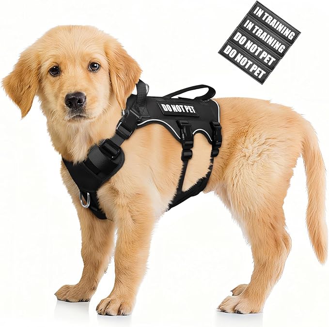 Escape Proof Dog Harness with Double Handle+4 Removable Patches | Service Working Molle Harness with Double Handle for Small Dogs, Tactical Pet Reflective Vest for Walking Hiking Hunting