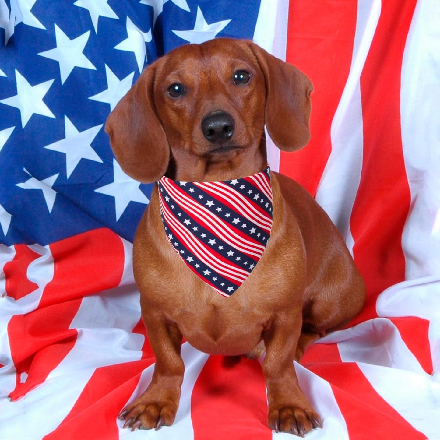 PTDECOR American US Flag Dog Bandana 4th of July Dog Bandanas Reversible Triangle Bibs Scarf for Small Dogs (Style 1, Small)