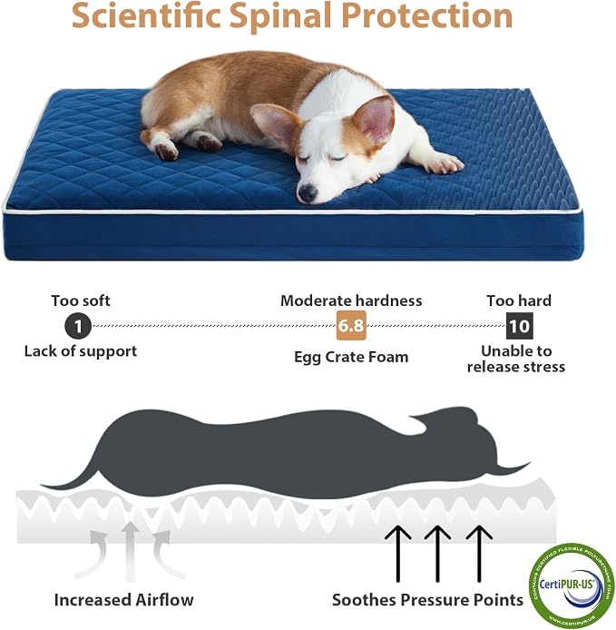 WNPETHOME Orthopedic Waterproof Large Sized Senior Dogs Bed for Comfy Sleep | Washable Ped Bed with Removable Cover, Multi-Needle Quilting Large Dogs Crate Bed for Dog Relax, Blue 36x27 Inch