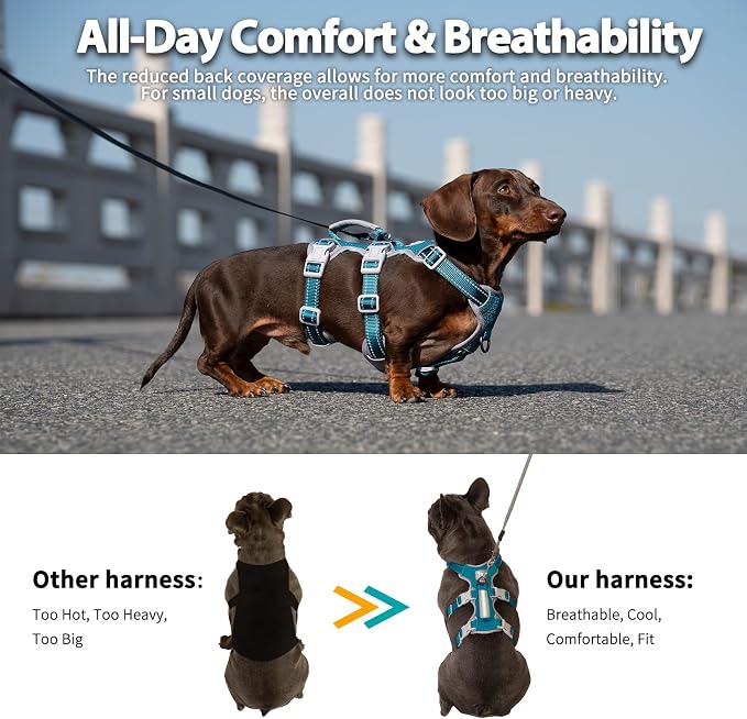 Escape Proof Dog Harness, No Pull Reflective Harness with Lift Handle, Adjustable Pet Vest with Front and Back Leash Clips for Small Medium Large Dogs Walking Hiking Training (Teal,L)