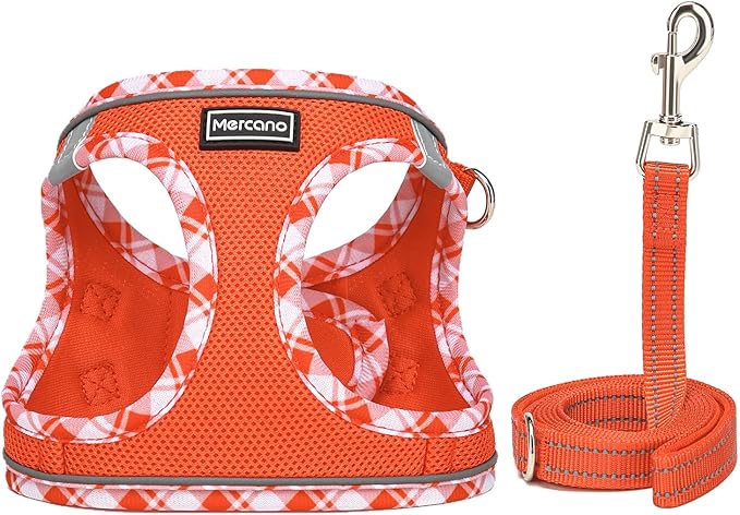 Mercano Soft Mesh Dog Harness and Leash Set, No-Chock Step-in Reflective Breathable Lightweight Easy Walk Vest Harnesses with Safety Buckle for Small Dogs, Cats (Tangerine, L)