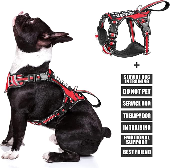 Service Dog Vest No Pull Dog Harness with 7 Dog Patches, Reflective Pet Harness with Durable Soft Padded Handle for Training Small, Medium, Large, and Extra-Large Dogs (Medium, Red)