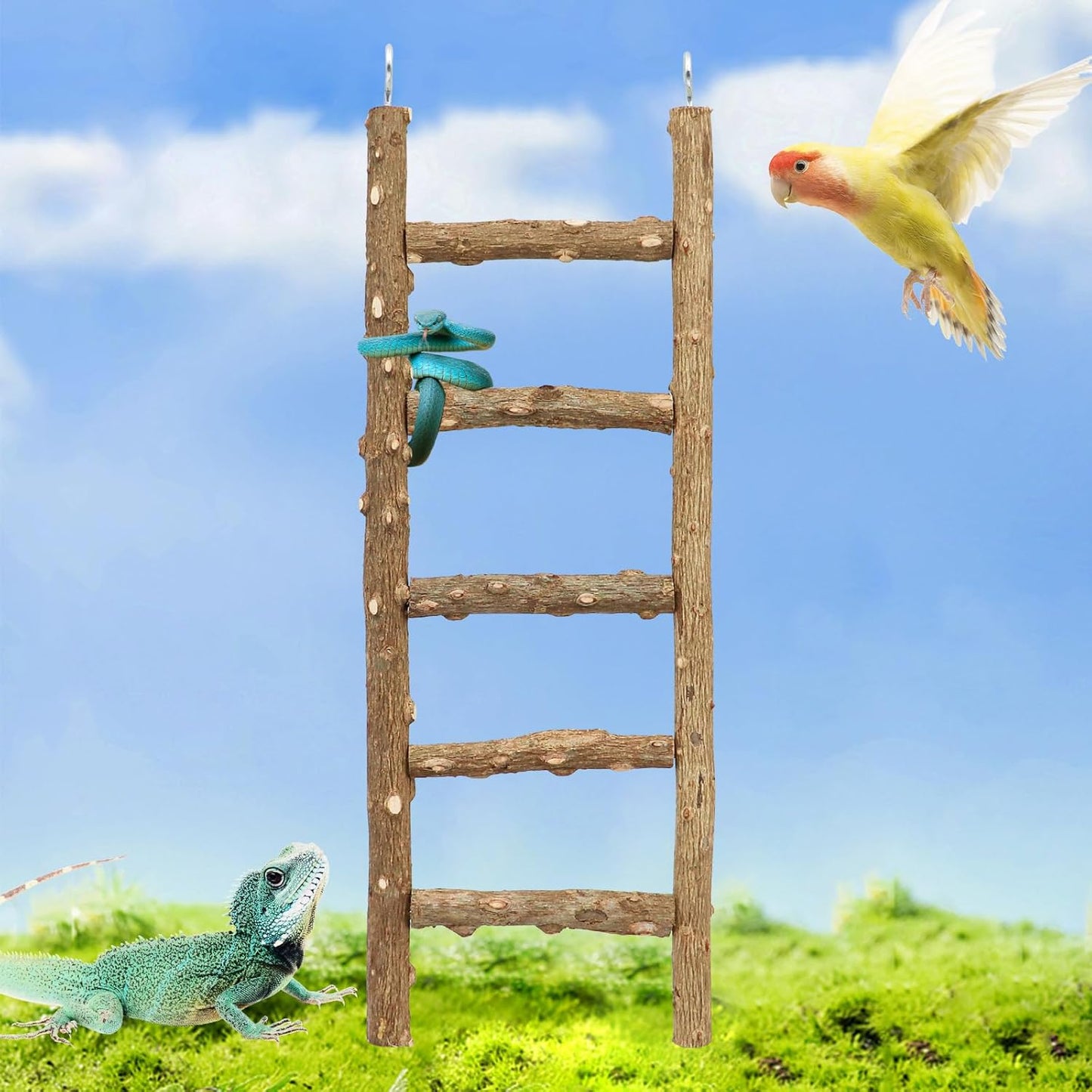 Bird Ladder Toy, Natural Pepper Wood Parrot Ladder, 5-Step Bird Climbing Toys, Bird Chewing Toys, Bird Cage Accessories, Suitable for Birds Parrots Parakeets Cockatiels