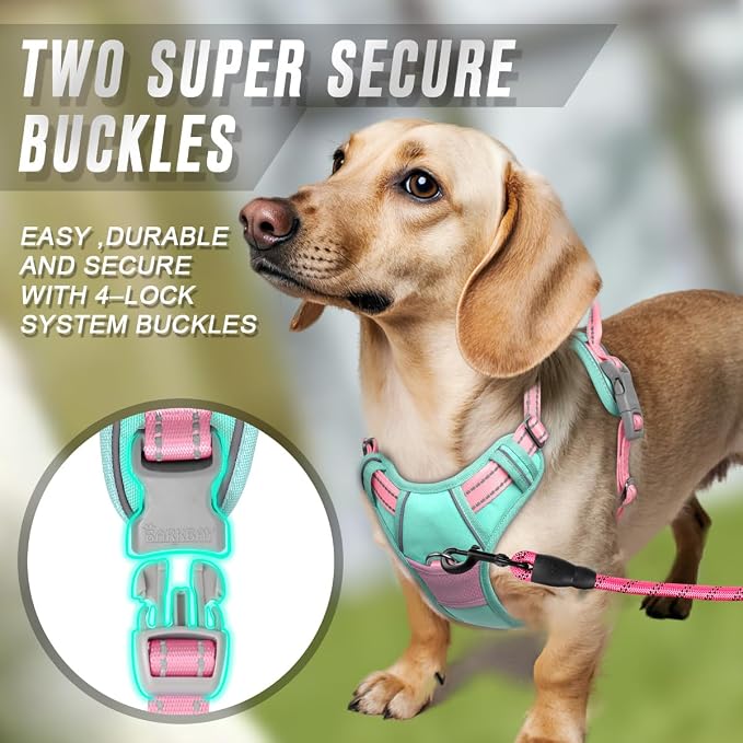 BARKBAY Dog Harness No Pull for Small Sized Dog Front Back Clips,Dog Vest | Soft Padded No Choke With Handle,Easy On&Off,Adjustable Reflective For Walking Training Running(Cool Mint & Baby Pink,XS)