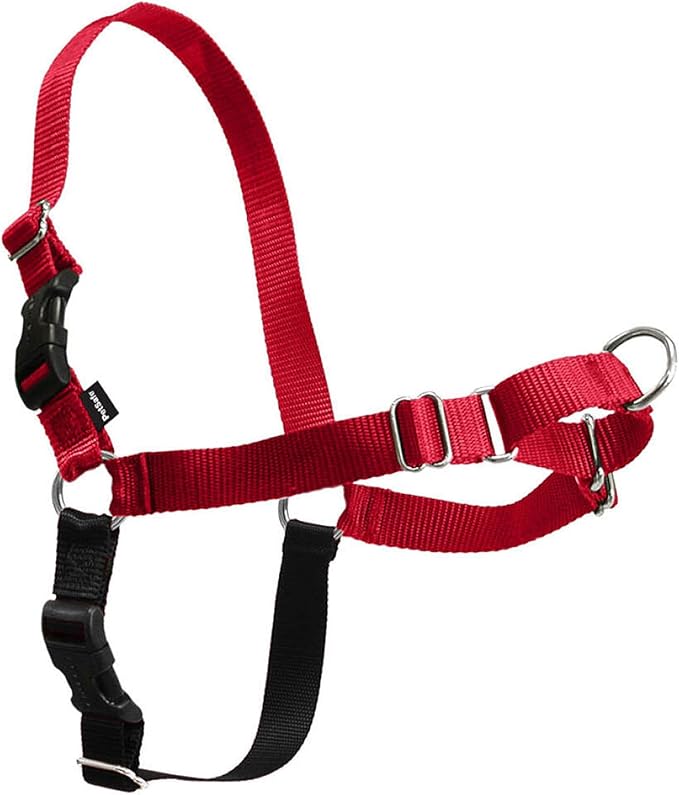 PetSafe Easy Walk Harness for Dogs - Pull-Free Walks - Patented Martingale Loop Design - Front Chest Leash Attachment - Comfort Straps - Breathable Harness Design - Medium, Red/Black | Patented Martingale Loop Gives Gradual Shoulder Pressure to Stop Pu...