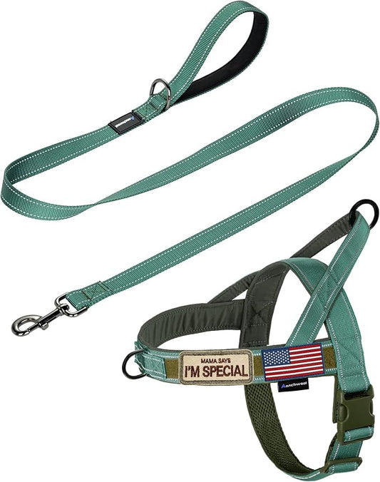 Annchwool No Pull Dog Harness with Padded Handle+5 Ft Leash,Reflective Strip Escape Proof and Quick Fit to Adjust Dog Harness,Easy for Training Walking for Small & Medium and Large Dogs(Green-Set,XL)