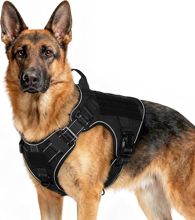 rabbitgoo Tactical Dog Harness X-Large, Heavy Duty Military No Pull Vest | Sturdy Metal Buckles, 5 Adjustments, Molle System, Powerful Pullers for Training, Hunting, Outdoor, Black Reflex, X-Large