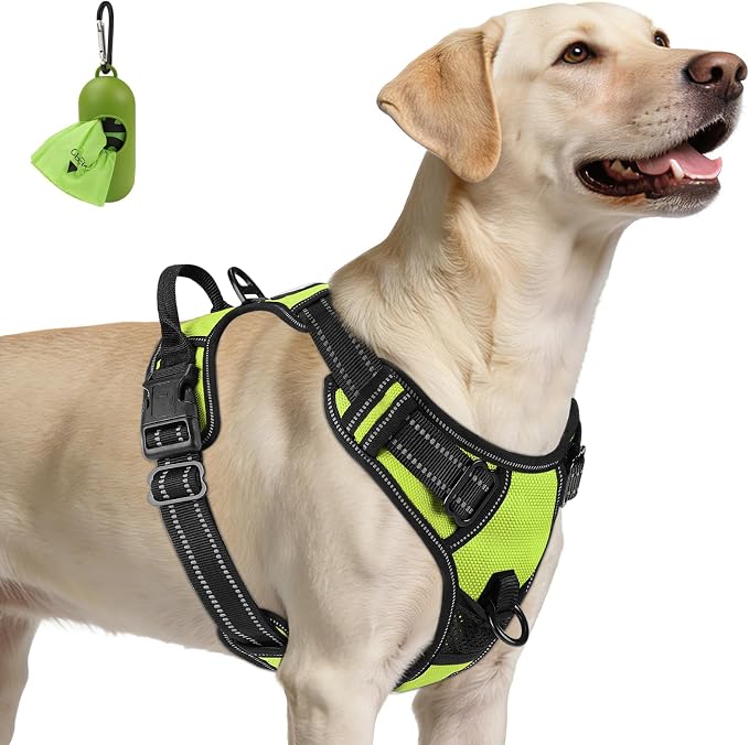 Joytale No Pull Dog Harness for Large Dogs, Front Clip, Green | Grab Handle for Instant Control, Padded & Adjustable Vest, Sturdy Metal D-Rings, for Safe Training & Daily Walking